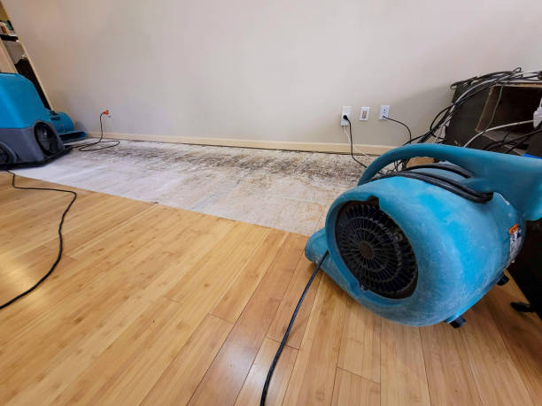 Professional Basement Flood Cleanup technician working in American Fork, UT